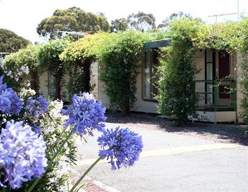West City Motel Ardeer Exteriör bild