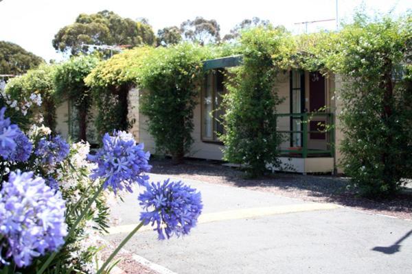 West City Motel Ardeer Exteriör bild